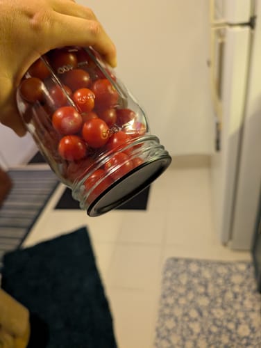 Sarah G. review of Mason Genie® Vacuum Sealer Kit image 1 out of 1