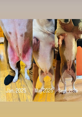 Customer photo review of DA-1™ Daily All-in-One Complete Care