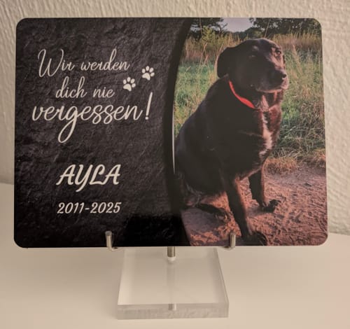 Customer photo review of Hunde Gedenktafel mit Foto & Spruch (UV- & Wetterfest)