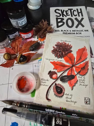 Customer photo review of SketchBox Premium Monthly Plan