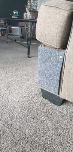 Customer photo review of Multifunctional Cat Scratching Carpet