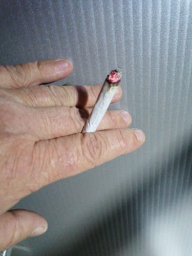 Customer photo review of Tegridy Blüte - 0rginal von Towelie