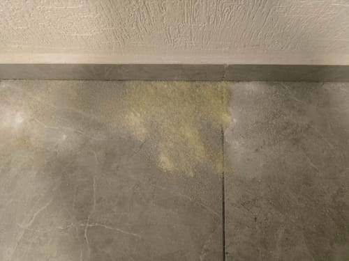 Customer photo review of Combo de Limpieza ( Oh My Dog + Recogedor) Membresía