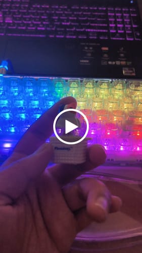 Customer video review of Meowkey - Fidget Toy that Meows!