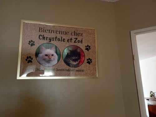 Customer photo review of Photo téléchargée - Paillasson personnalisé