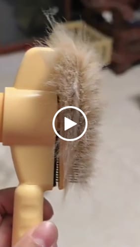 Customer video review of PelsLyn-børste™ – Den ultimative løsning til pelspleje