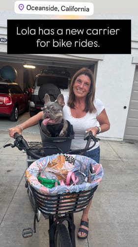 Customer photo review of Comfort Seat Liner