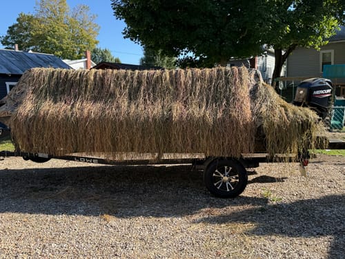 Customer photo review of Hunting Blind Raffia Grass (Pack)
