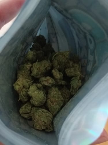 Customer photo review of Shipping Protection by Route