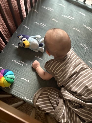 Customer photo review of 4 Season® Ultimate Baby Sleep Bag, Merino Wool & Organic Cotton, Earth