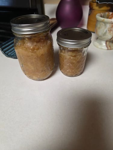 undefined review of Mason Genie® Vacuum Sealer Kit image 1 out of 1