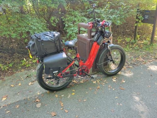 Customer photo review of Wired Scout