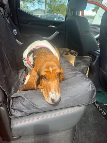 Customer photo review of Car Seat Cover