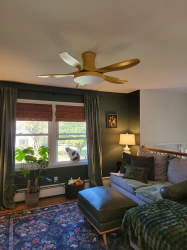 Customer photo review of WOMO Scandi Large Flush Mount Ceiling Fan Lamp-WM5130