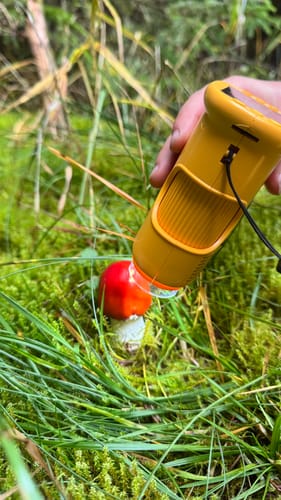 Friederike B. review of Edubini Abenteuer-Mikroskop für Kinder image 1 out of 1