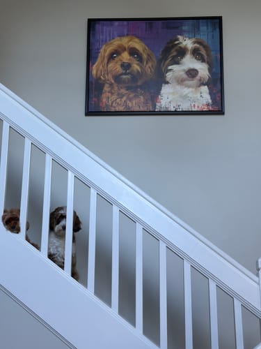 Customer photo review of How many pets would you like us to portray?