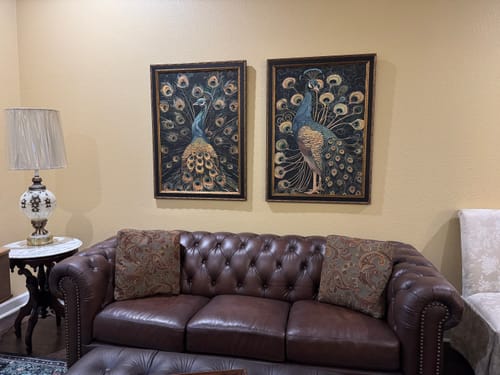 Customer photo review of Luxe Peacock Set of 2 Prints