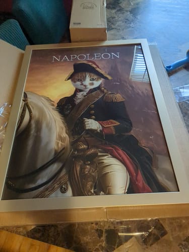 Customer photo review of Napoleon - Custom Pet Portrait