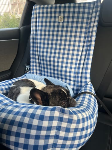 Customer photo review of Seggiolino Auto Cotone Quadretto Bluette