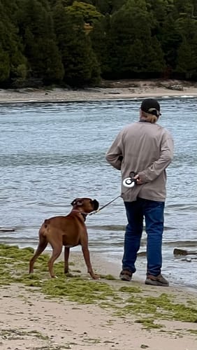 Customer photo review of FIDA AutoBrake Leash