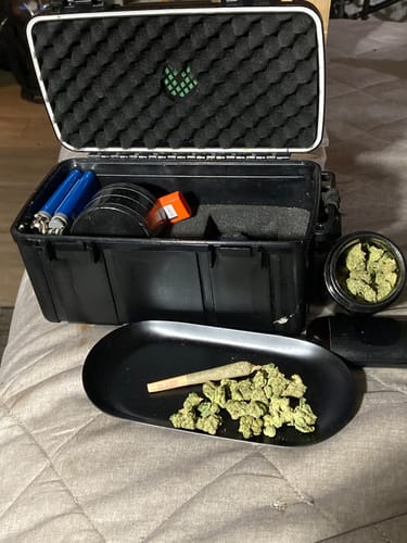 Customer photo review of Blueberry Cough Minis - Bulk - Minis (Sativa)