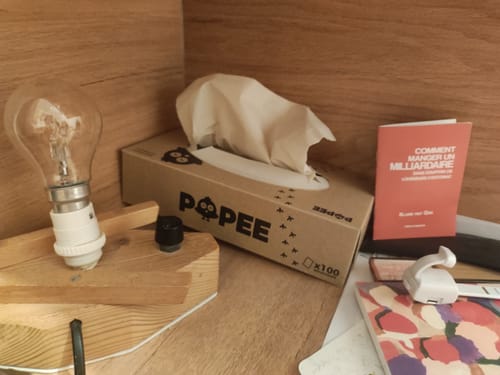 Customer photo review of BOÎTES DE MOUCHOIRS - Lot de 35 boîtes de 100 mouchoirs en papier