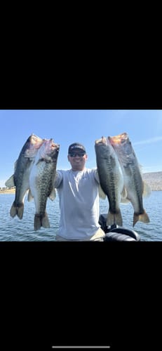 Customer photo review of Nako Magic Tail Swimbait | Plastic Soft Bait | 7 Colors