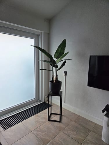 Customer photo review of Strelitzia Kunstplant 120cm