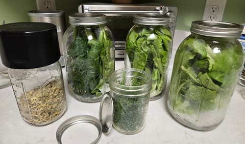 Carol H. review of Mason Genie® Vacuum Sealer Kit image 1 out of 2