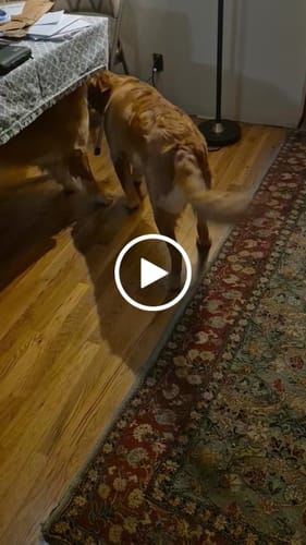 Customer video review of DA-1™ Daily All-in-One Complete Care