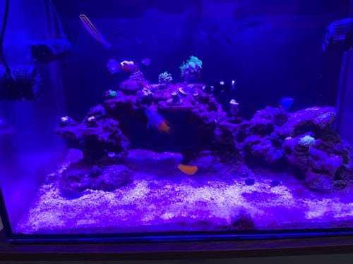 Customer photo review of Felt Filter Sock with Plastic Ring 200 micron - 2.75" Diameter x 7" Length