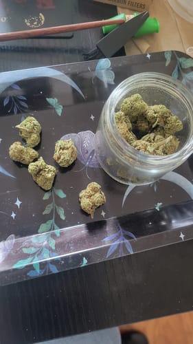 Customer photo review of Blueberry Muffin - 28 Grams - Indica