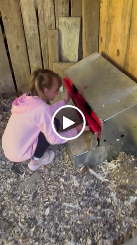 Customer video review of Medium (34") Reversible Rollout Nest Box (Up to 32 Hens)