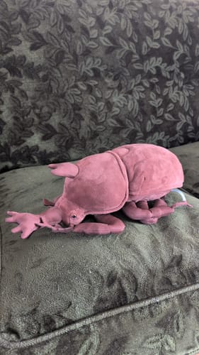 Customer photo review of Rhinoceros Beetle Soft Stuffed Plush Toy