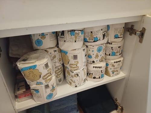 Avis photo d'un client sur PAPIER TOILETTE Zéro plastique - 48 rouleaux avec livraison offerte