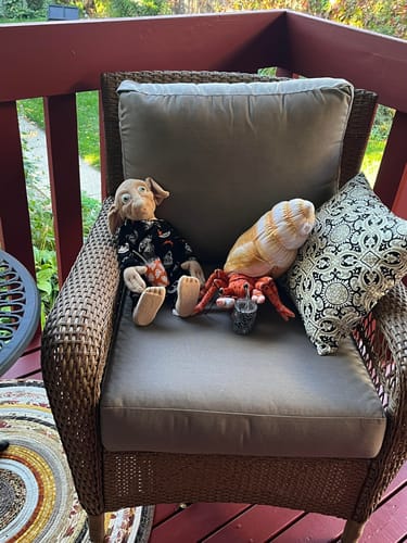 Customer photo review of Hermit Crab Soft Stuffed Plush Toy