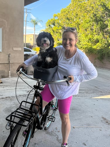 Customer photo review of Kvisp Dog Bike Carrier
