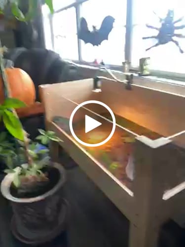 Customer video review of Coziwow 38''L Wooden Tortoise Habitat Indoor