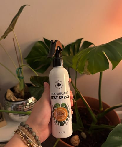 Customer photo review of Houseplant Pest Spray