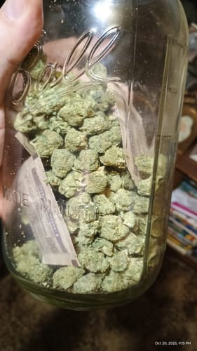 Customer photo review of White Widow Mediums - Bulk Mediums - Hybrid