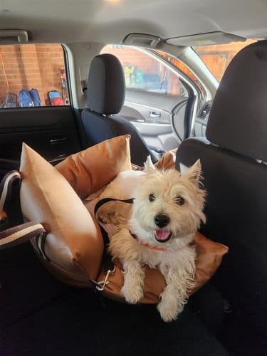 Customer photo review of Boujee Booster