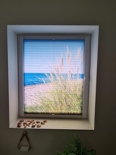 Customer photo review of Plissee mit Motiv nach Maß: Eigenes Foto hochladen oder aus Millionen Bildern wählen