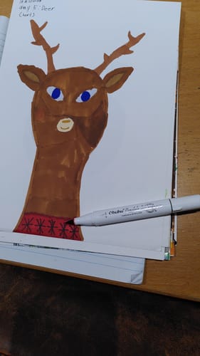 Customer photo review of Ohuhu Honolulu 104 Colors Dual Tips Alcohol Art Markers