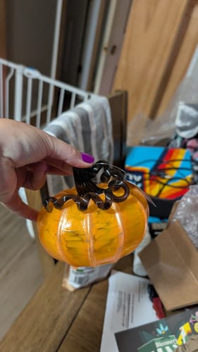Customer photo review of Enchanted Squat Pumpkin