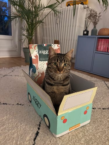 Avis photo d'un client sur Croquettes Chat Stérilisé Sans Céréales - Saumon
