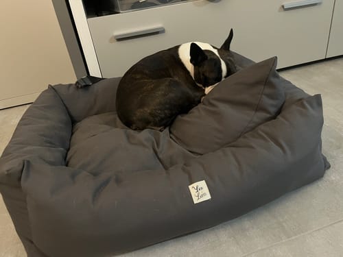 Customer photo review of Divanetto in Tessuto Dralon Grigio Elegance