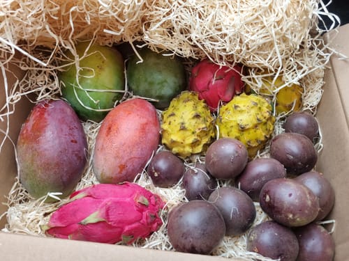 Customer photo review of Drachenfrüchte Mix gelb & rot Box 2kg Aktionswoche %
