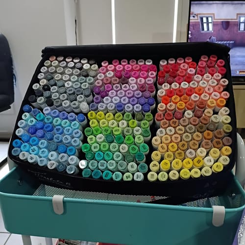 Customer photo review of Ohuhu Honolulu 320 Colors Dual Tips Alcohol Art Markers (New Version)