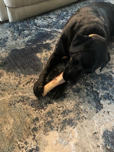 Customer photo review of Two Ear Combo: Pig & Cow Ears--12 Pack