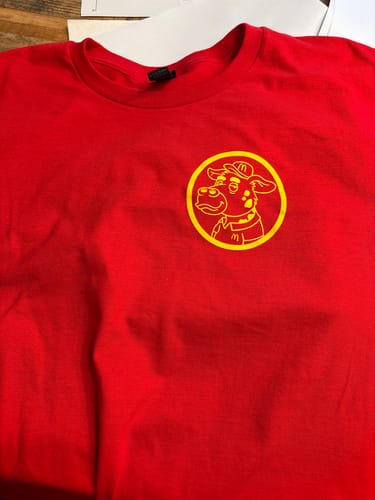 Customer photo review of Gildan Softstyle® 64000 T-Shirt Package (100 Pieces)